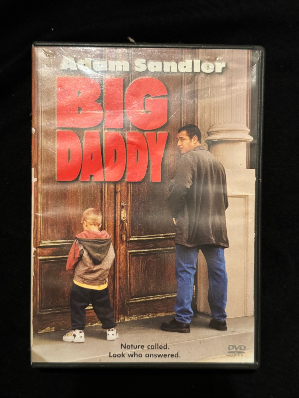 Big Daddy Movie DVD